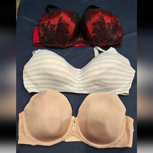 Torrid Bra Bundle - 44DD
